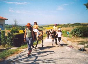 petite randonnée à dos d' ânes sur les coteaux de la Gironde
